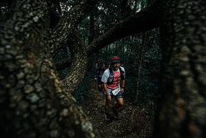 BIB: 
                            <button type="button" onclick="openModal(25689125)" class="btn btn-primary btn-sm float-right btn-popup" data-toggle="modal" data-target=".modal-high-quality">
                        <i class="fas fa-shopping-cart"></i> Add to Cart
                    </button>
                                            <button type="button" onclick="isThisMe(25689125, true)" class="btn btn-success btn-sm float-right btn-popup btn-isme hidden" data-toggle="tooltip" data-placement="bottom" title="นี่คือรูปของคุณใช่ไหม คลิกที่นี่เพื่อเอาเข้าอัลบั้ม">
                        <i class="fas fa-plus"></i> Add to album
                    </button>
                    <button type="button" onclick="isThisMe(25689125, false)" class="btn btn-warning btn-sm float-right btn-popup btn-isnotme hidden">
                        <i class="fas fa-ban"></i> Remove from album
                    </button>